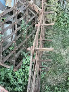 Грапи 3 броя